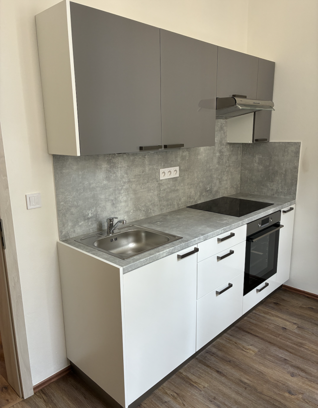 Rekonstrukce bytu v Dřevěné ulici (foto 3)